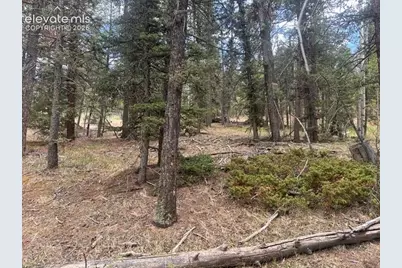 687 Trout Haven Road, Florissant, CO 80816 - Photo 3