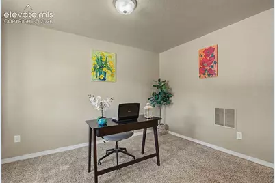 984 Diamond Rim Drive, Colorado Springs, CO 80921 - Photo 5