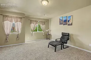 984 Diamond Rim Dr, Colorado Springs, CO 80921 - Photo 25