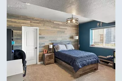 589 Burke Hollow Drive, Monument, CO 80132 - Photo 47