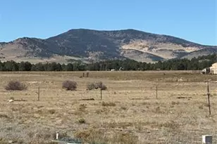 1925 Doe Valley Rd, Guffey, CO 80820 - Photo 31