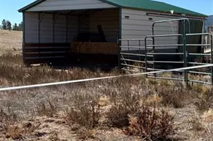 1925 Doe Valley Rd, Guffey, CO 80820 - Photo 25