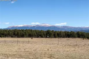 1925 Doe Valley Rd, Guffey, CO 80820 - Photo 29