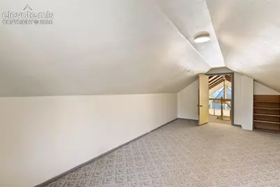 192 Columbine Road, Florissant, CO 80816 - Photo 25