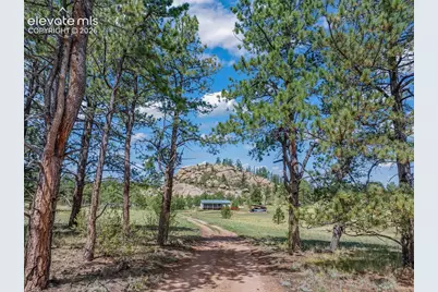 3050 Homestake Place, Florissant, CO 80816 - Photo 3