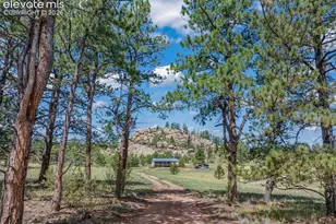 3050 Homestake Pl, Florissant, CO 80816 - Photo 3