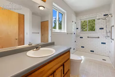 3050 Homestake Place, Florissant, CO 80816 - Photo 31