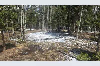 144 Little Bear Peak Road, Florissant, CO 80816 - Photo 3