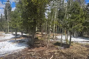 144 Little Bear Peak Rd, Florissant, CO 80816 - Photo 1