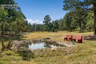 18415 Lake Dr, Monument, CO 80132 - Photo 35