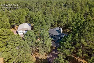 18415 Lake Dr, Monument, CO 80132 - Photo 43