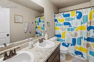 19915 Alexandria Dr, Monument, CO 80132 - Photo 21