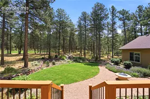 18825 Pagentry Pl, Monument, CO 80132 - Photo 5