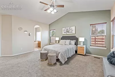 10303 Buck Rake Court, Fountain, CO 80817 - Photo 19