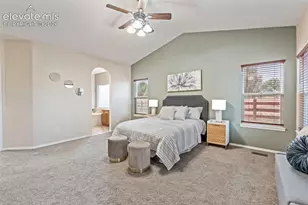 10303 Buck Rake Ct, Fountain, CO 80817 - Photo 19