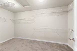9728 Wando Dr, Colorado Springs, CO 80925 - Photo 27