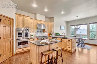 484 Pasada Way, Monument, CO 80132 - Photo 9