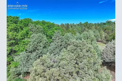 3585 Twisted Oak Circle, Colorado Springs, CO 80904 - Photo 7