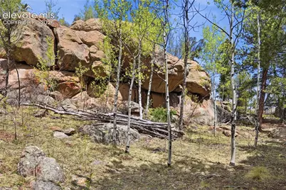 7070 County Road 1, Cripple Creek, CO 80813 - Photo 21