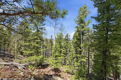 7070 County Road 1, Cripple Creek, CO 80813 - Photo 23