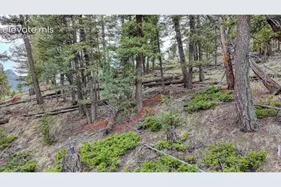 918 Pinon Lane, Florissant, CO 80816 - Photo 11