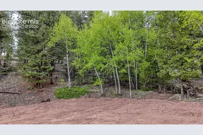918 Pinon Lane, Florissant, CO 80816 - Photo 3
