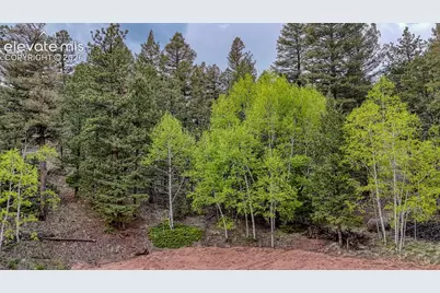 918 Pinon Lane, Florissant, CO 80816 - Photo 23