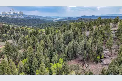 918 Pinon Lane, Florissant, CO 80816 - Photo 19
