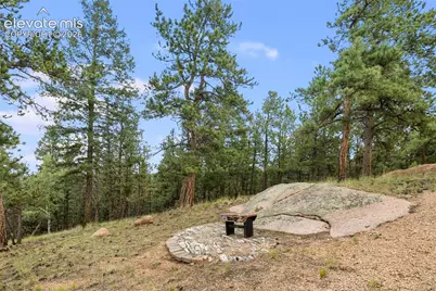 127 Carlton Circle, Florissant, CO 80816 - Photo 39