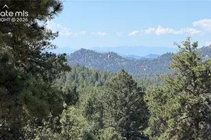 127 Carlton Cir, Florissant, CO 80816 - Photo 47