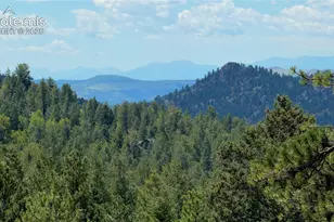 127 Carlton Cir, Florissant, CO 80816 - Photo 45