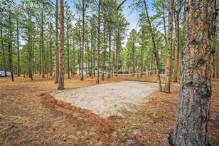 855 Pebble Creek Ct, Monument, CO 80132 - Photo 33