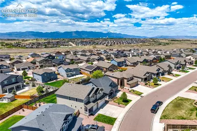 7664 Alpine Daisy Drive, Colorado Springs, CO 80925 - Photo 49