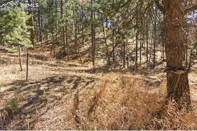 11070 W Highway 24, Cascade, CO 80819 - Photo 41