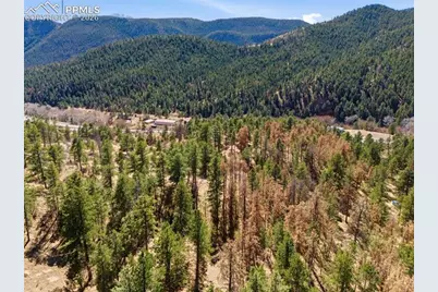 11070 W Highway 24, Cascade, CO 80819 - Photo 13