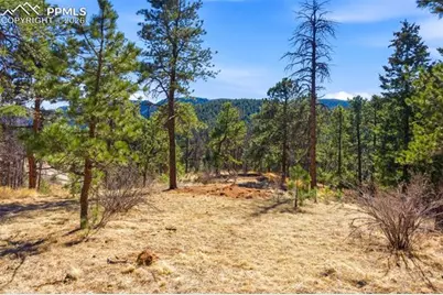 11070 W Highway 24, Cascade, CO 80819 - Photo 35