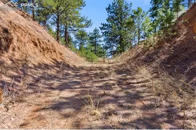 11070 W Highway 24, Cascade, CO 80819 - Photo 39