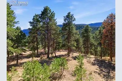11070 W Highway 24, Cascade, CO 80819 - Photo 19