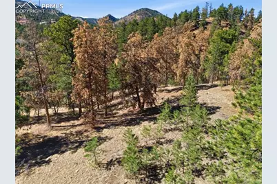 11070 W Highway 24, Cascade, CO 80819 - Photo 15