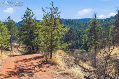 11070 W Highway 24, Cascade, CO 80819 - Photo 23
