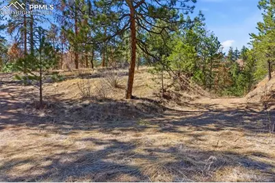 11070 W Highway 24, Cascade, CO 80819 - Photo 29
