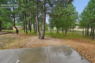 1702 Painter Dr, Monument, CO 80132 - Photo 31