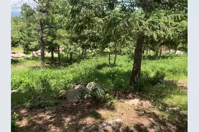 390 Irvington Court, Colorado Springs, CO 80906 - Photo 25