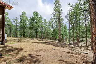 858 Fossil Creek Rd, Florissant, CO 80816 - Photo 41