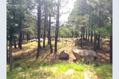 667 Silver Oak Grove, Colorado Springs, CO 80906 - Photo 3