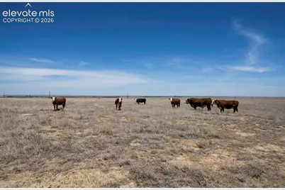 33973 County Road Aa, La Junta, CO 81050 - Photo 11