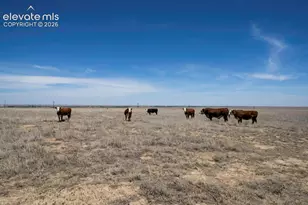 33973 Co Rd AA, La Junta, CO 81050 - Photo 11