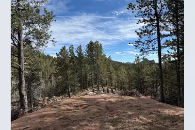 162 Eagle Drive, Divide, CO 80813 - Photo 1