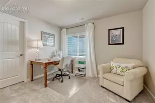 11347 Rill Pt, Colorado Springs, CO 80921 - Photo 31