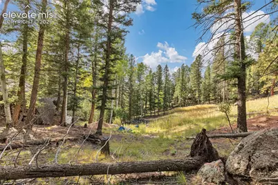 926 Pinon Lane, Florissant, CO 80816 - Photo 3